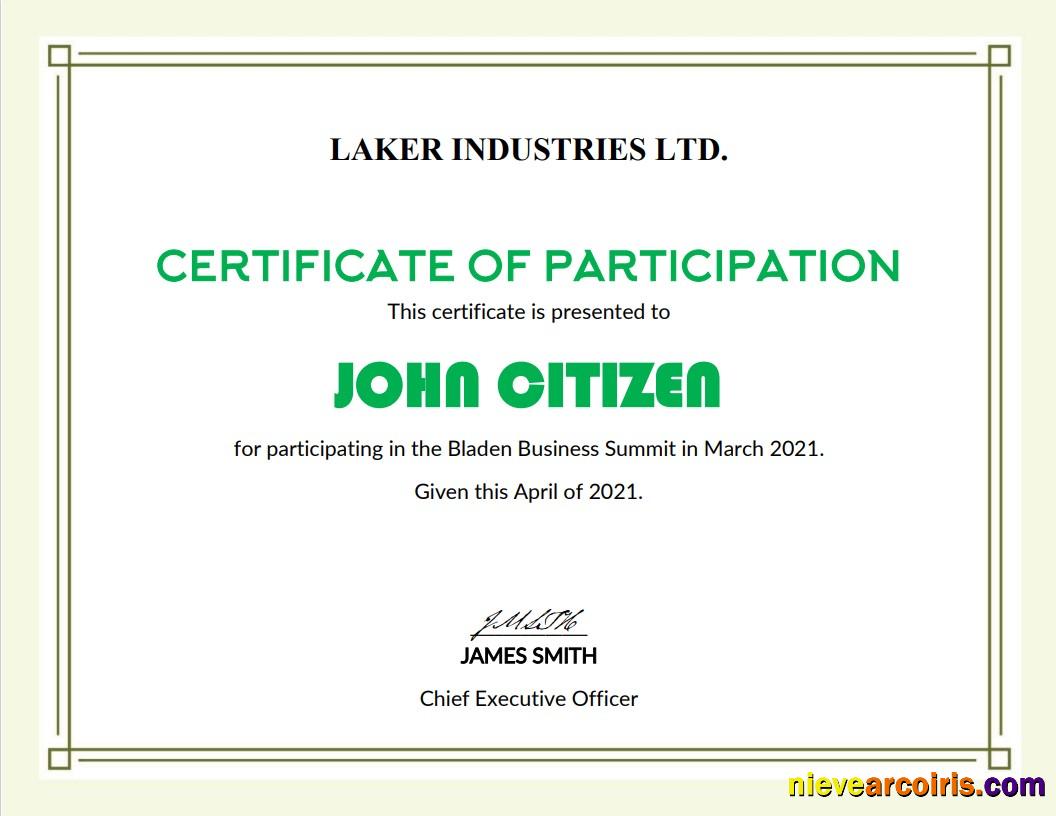 USA Modern Participation certificate